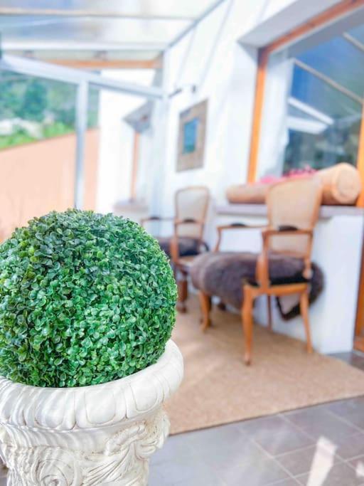 Tipica Casa Andorrana En Encamp L By Bonesvacances المظهر الخارجي الصورة